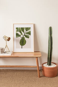Fiddle Fig Ficus Plant Illustrated A4 Art Print, 2 of 12