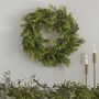 Cedar Christmas Pre Lit 45cm Wreath, thumbnail 2 of 2
