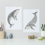 Humpback Whales Set Of Two Unframed Prints, thumbnail 1 of 6