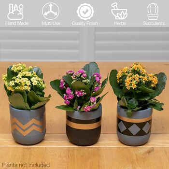 Three Set Of Small Ceramic Indoor Plant Pots, 3 of 7