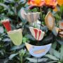 Set Of Three Personalised Tulip Garden Pot Stakes, thumbnail 6 of 9