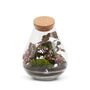 Closed Terrarium Kit With Glass Plants And More | Cuba, thumbnail 3 of 8