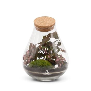 Closed Terrarium Kit With Glass Plants And More | Cuba, 3 of 8