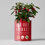 Red Hot Chilli's Eco Grow Your Chilli Plant, thumbnail 1 of 9