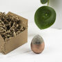 Personalised Copper Concrete Easter Egg In A Box, thumbnail 4 of 5