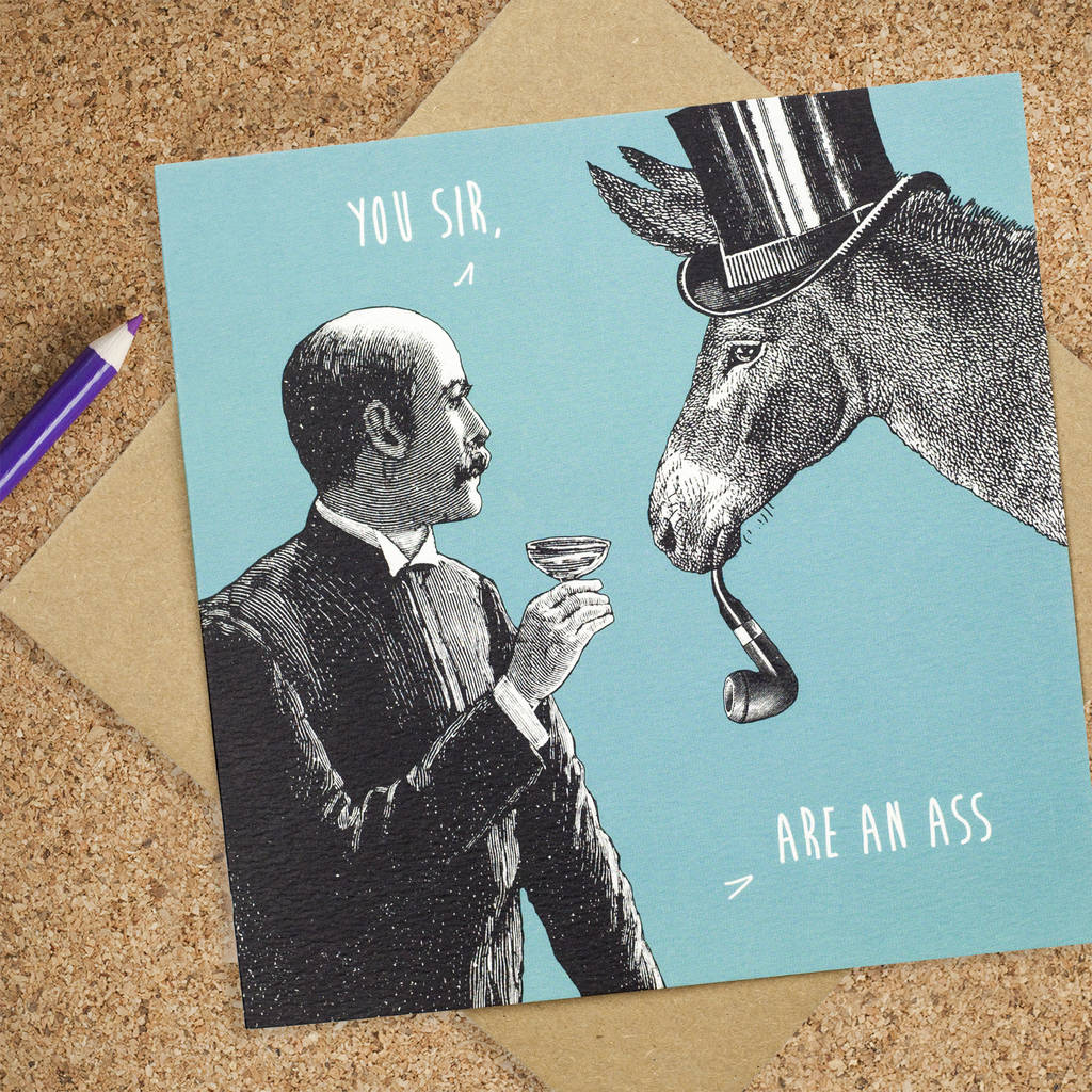 Funny Birthday Card You Sir Are An Ass By Bird Brain London