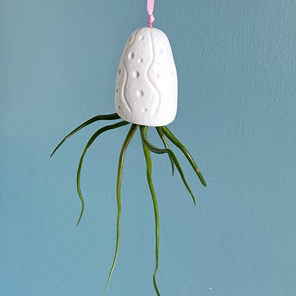 Image of Hanging Handmade White Porcelain Air Plant