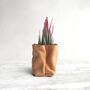 Personalised Mini Leather Paper Bag Planter With Custom Message And Artificial Aloe Vera, thumbnail 3 of 7