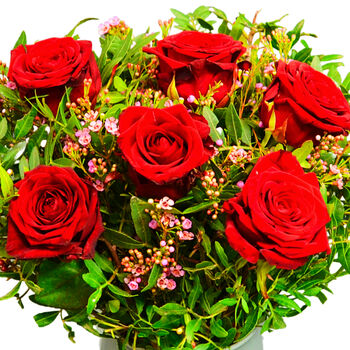 Six Red Roses Fresh Flower Bouquet Gift, 5 of 7