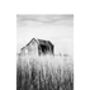 Weathered House, Southwold Photographic Art Print, thumbnail 3 of 4