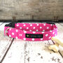 Pink Spotty Dog Collar, thumbnail 1 of 5