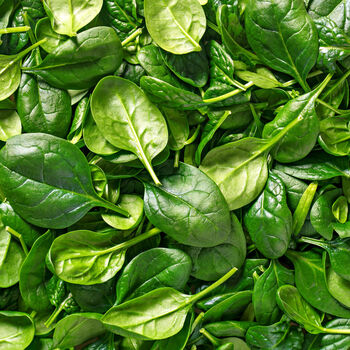 Spinach 'Bella' 12 X Plant Pack, 5 of 5