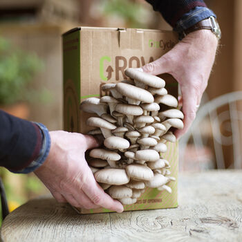 Grow Your Own Mushrooms Kit, 3 of 6