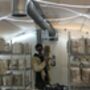 The Yorkshire Mushroom Emporium Experience For One, thumbnail 6 of 10