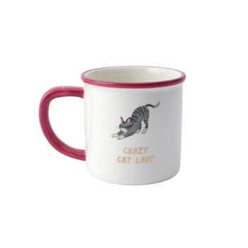 Cool Cat 'Crazy Cat Lady' Ceramic Mug In Gift Box, 2 of 4