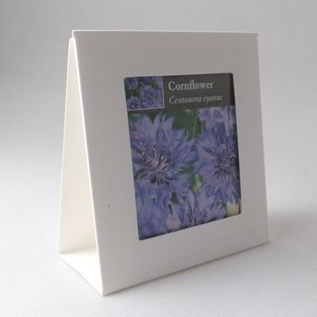 Flower Seed Garden Party And Wedding Favours, 6 of 9