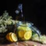 Fruit Plants Elderflower, thumbnail 11 of 12