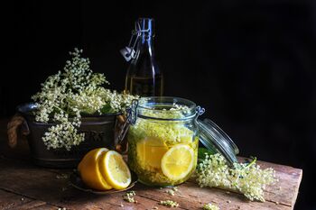 Fruit Plants Elderflower, 11 of 12