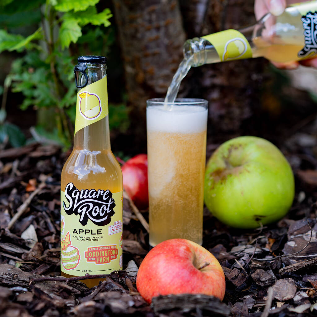 Seasonal Soda Gift Pack By Square Root Soda | notonthehighstreet.com