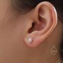 Mismatched Pine Cone And Squirrel Stud Earrings In Sterling Silver, thumbnail 2 of 12