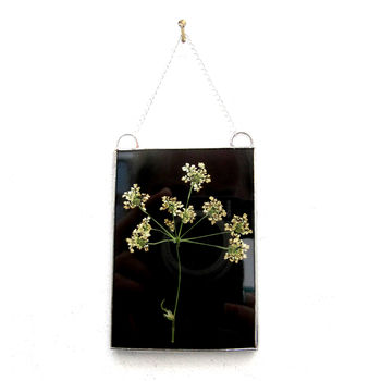 Glass Pressed Flower Hanging Frame, 3 of 4