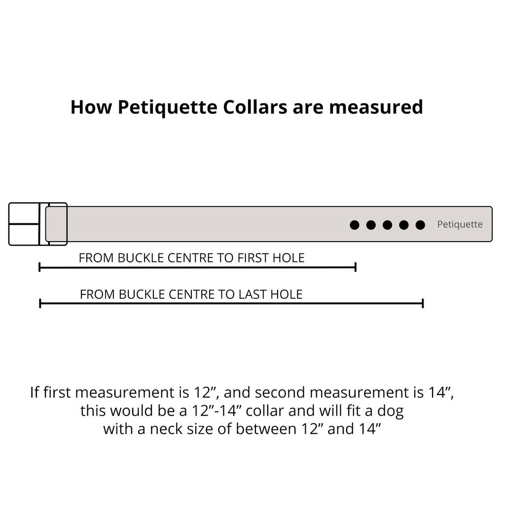 Twin Tone Leather Dog Collar By Petiquette Collars