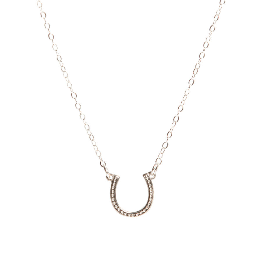 Silver Lucky Horseshoe Necklace By Lily King | notonthehighstreet.com