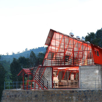 Solar White Loose Leaf Tea, 4 of 7