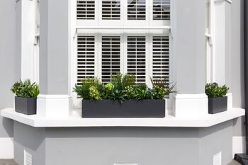 Evergreen Artificial Window Box In Large, 2 of 2