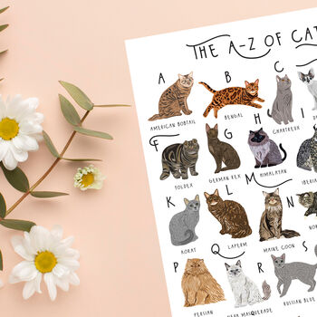 The A To Z Of Cats Print, 5 of 6