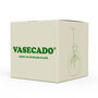 Vasecado Grow An Avocado Plant, Glass Vase, thumbnail 5 of 7