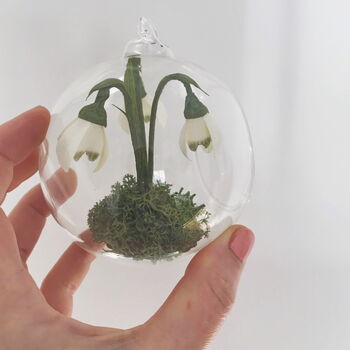 Paper Snowdrop Tiny Terrarium With Gift Tag And Box, 5 of 11