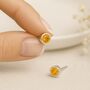 Sterling Silver Citrine Stud Earrings: November Birthstone Gift – 7mm, thumbnail 1 of 7