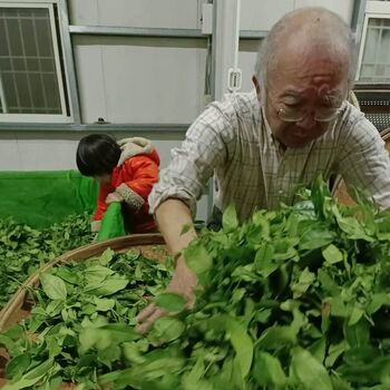 Hidden Treasure Loose Leaf Tea 50g, 6 of 8