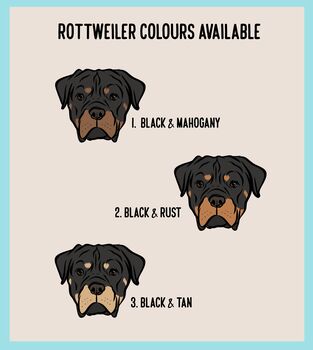 Rottweiler ID Tag, 3 of 5