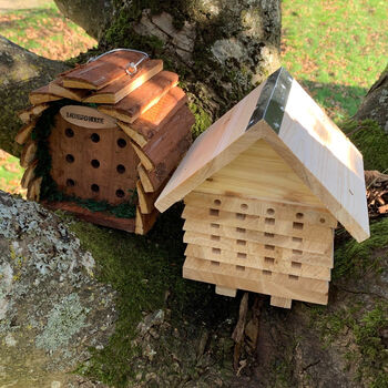 Busy Bee Hotel And Lucky Ladybird House Set, 4 of 8