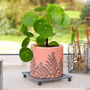 Traditional Iron Bird Plant Pot Stand, thumbnail 3 of 10