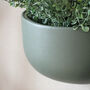 Ceramic 'Wide' Wall Planters, thumbnail 3 of 7