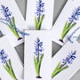 Gift Tags With Hyacinth Illustration, thumbnail 3 of 5
