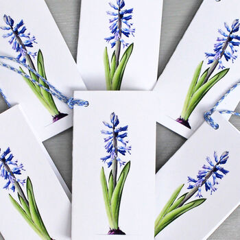Gift Tags With Hyacinth Illustration, 3 of 5
