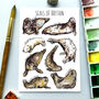 Seals Of Britain Watercolour Postcard, thumbnail 1 of 9