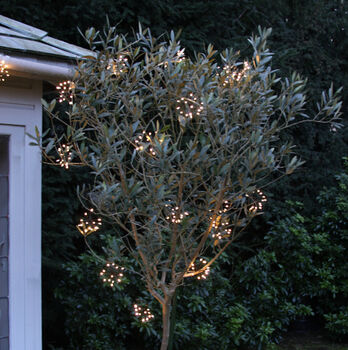 Solar Starburst Chain Garden Lights, 3 of 3