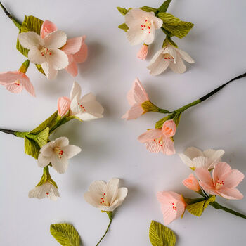 Paper Flower Kit: Blossom, 3 of 8