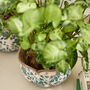 Set Of Three Turquoise Scalloped Planters, thumbnail 5 of 7