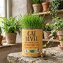 Cat Lovers Eco Grow Your Own Plant Kit, thumbnail 1 of 9