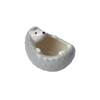 Send With Love Hedgehog Trinket Bowl In Gift Box, 4 of 5