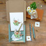 Wren Christmas Decoration And Card Letter Box Gift, thumbnail 7 of 8