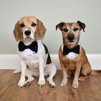 Personalised Bow Tie Dog Wedding Bandana, 3 of 10