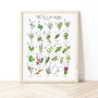 The A To Z Of Herbs Print, thumbnail 1 of 6