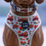 Pumpkin Patch Cart Dog Harness, thumbnail 5 of 11